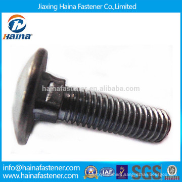Stainless Steel ss316 Carriage Bolt